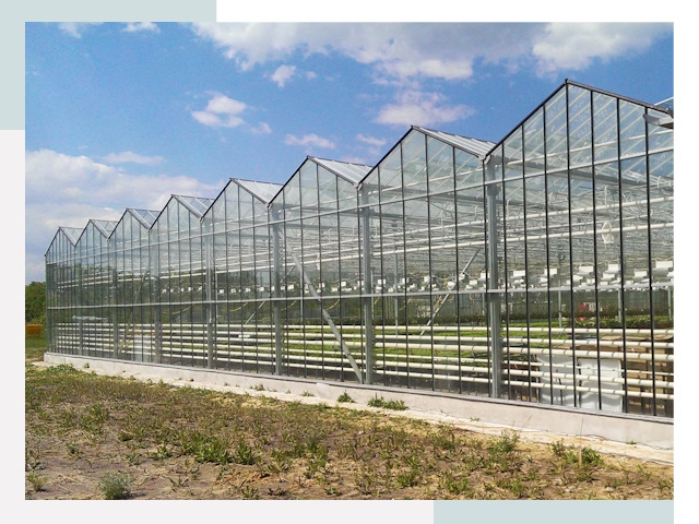 Строительство теплиц в Вольск от 608 руб. за м²