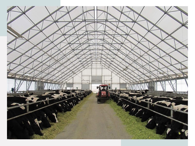 Тентовые коровники в Вольске от 608 руб. - Надежно и доступно